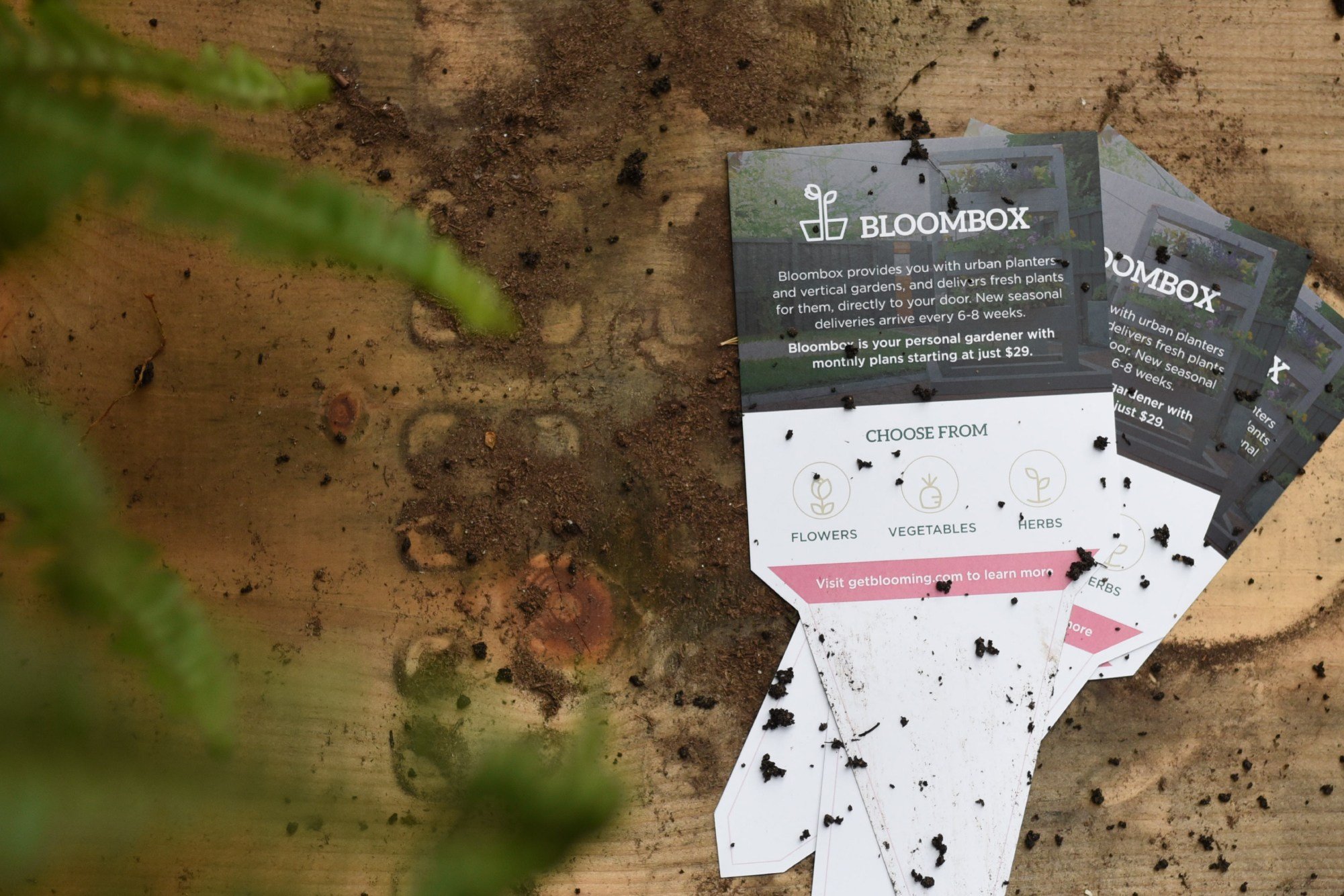 /assets/images/bloombox/g3_website_project_bloombox_rackcard.jpg