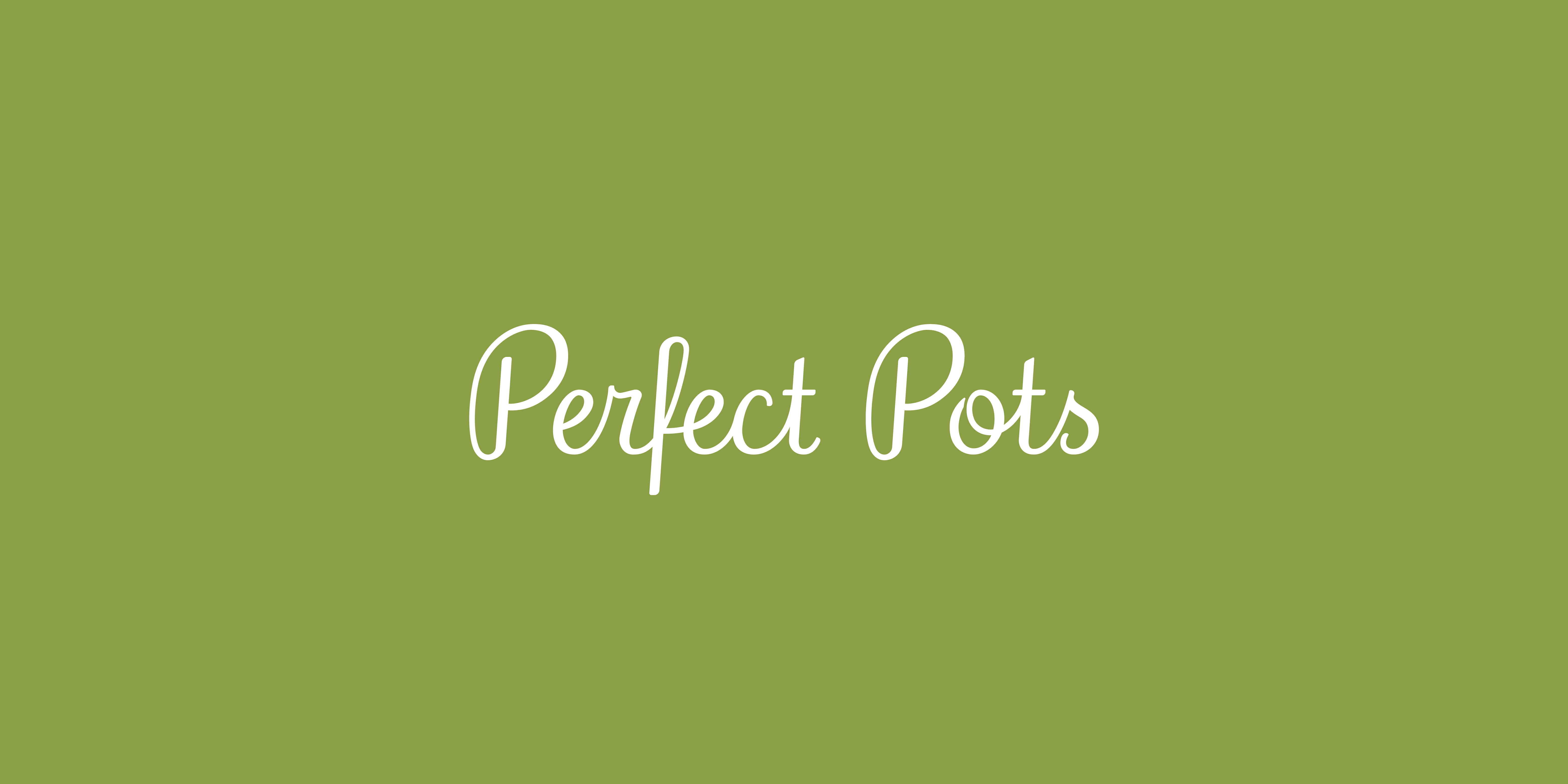 /assets/images/perfectpots/g3_website_project_perfectpots-logo.jpg